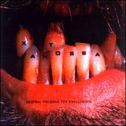 Central Program for Swallowing